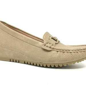 Ref. 67240 Women’s Shoes