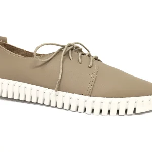 Ref. 87806 Women’s Shoes