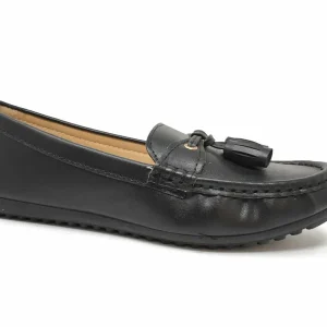 Ref. 91072 Women’s Shoes